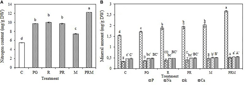 FIGURE 2