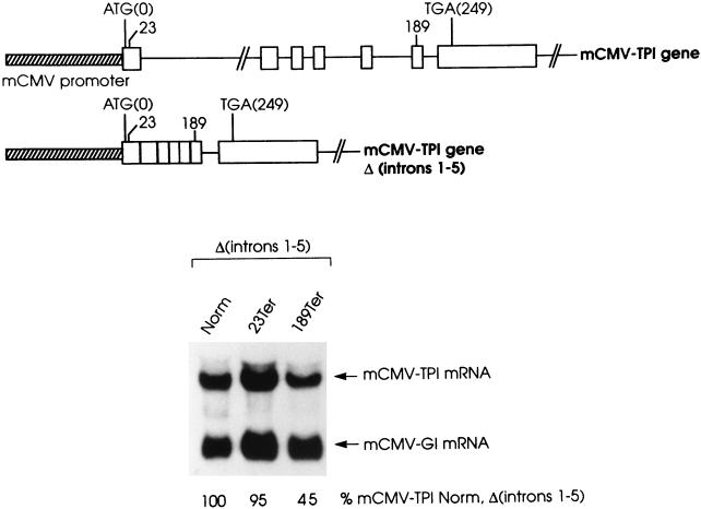 FIG. 6