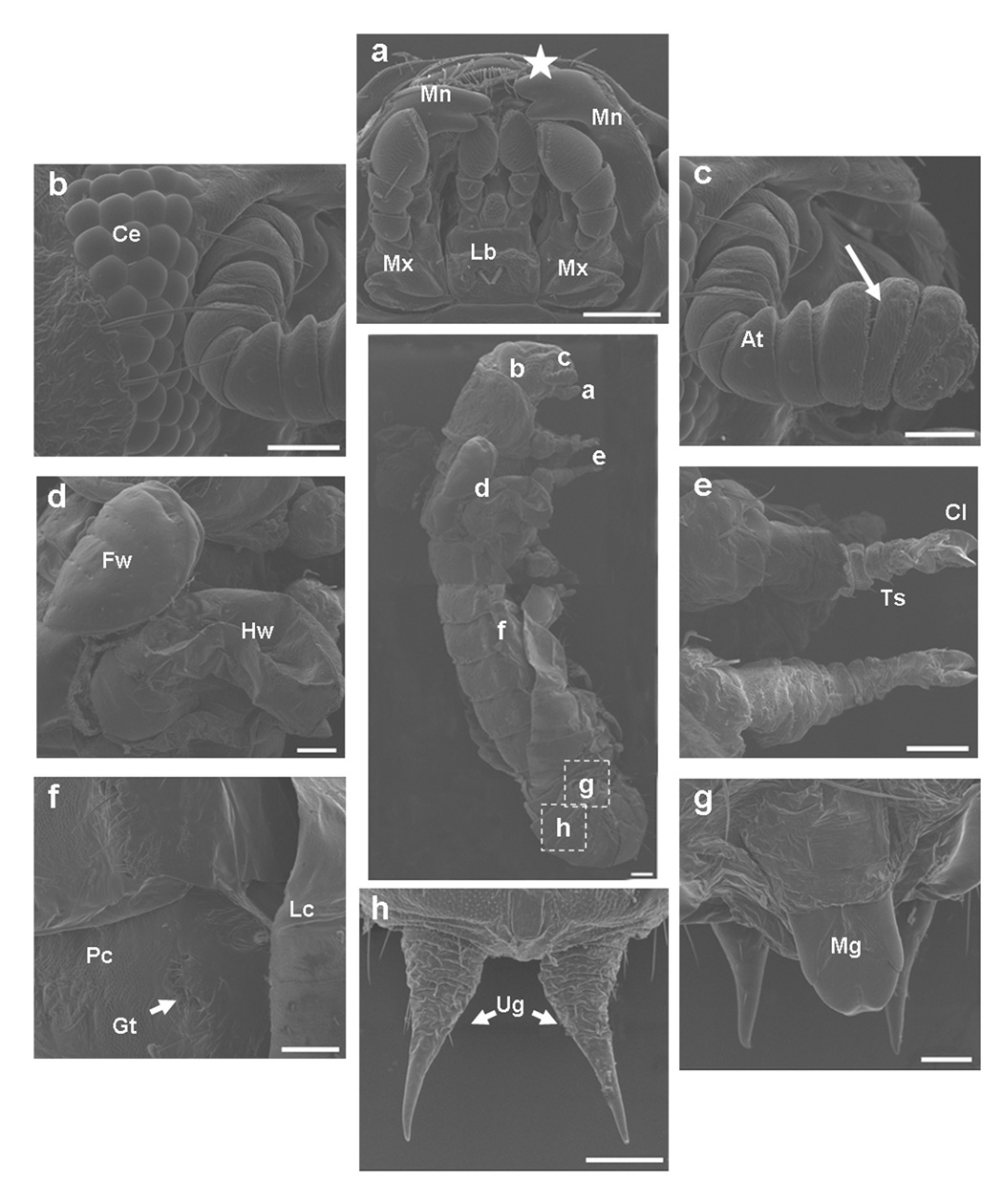 Fig. 3