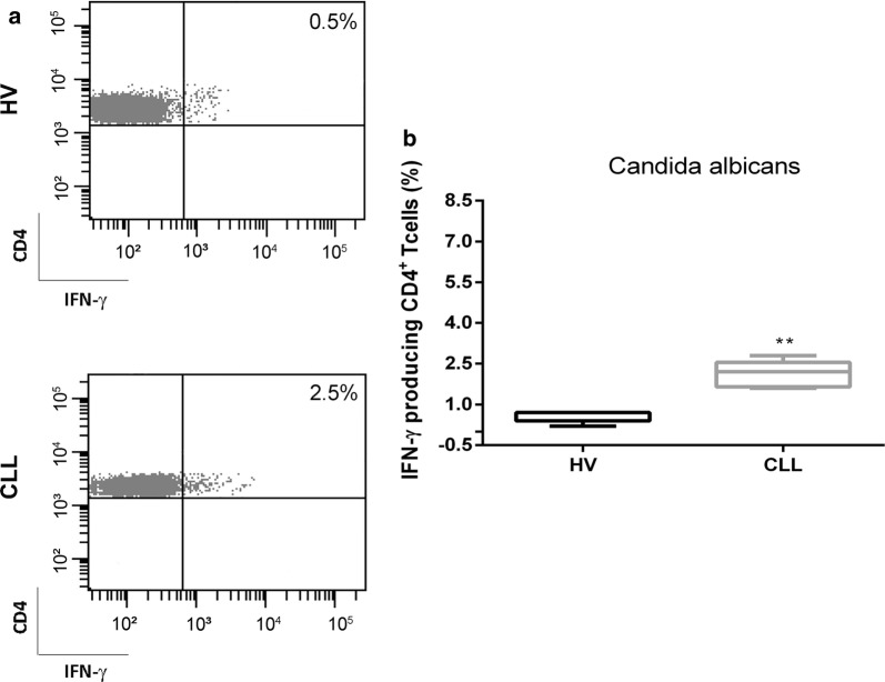 Fig. 3