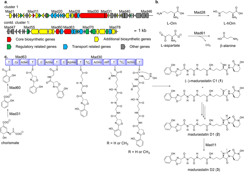 Figure 2.