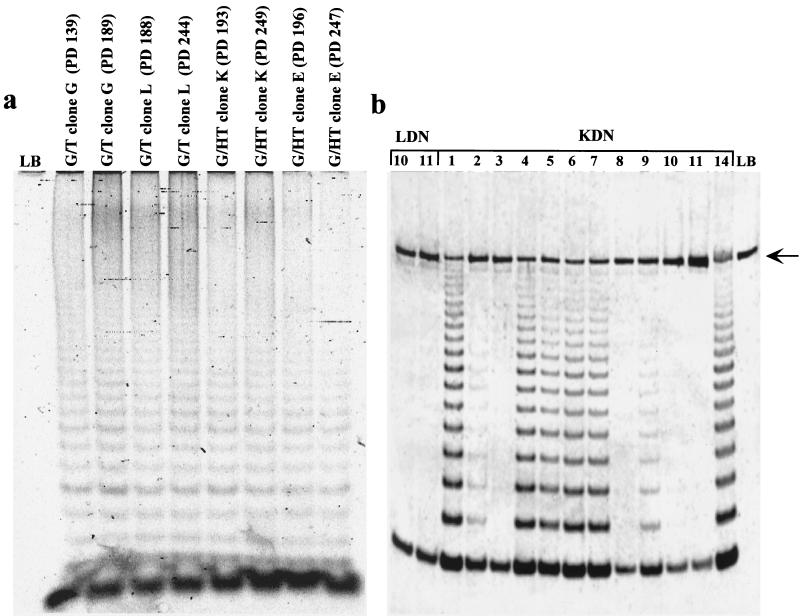 FIG. 7