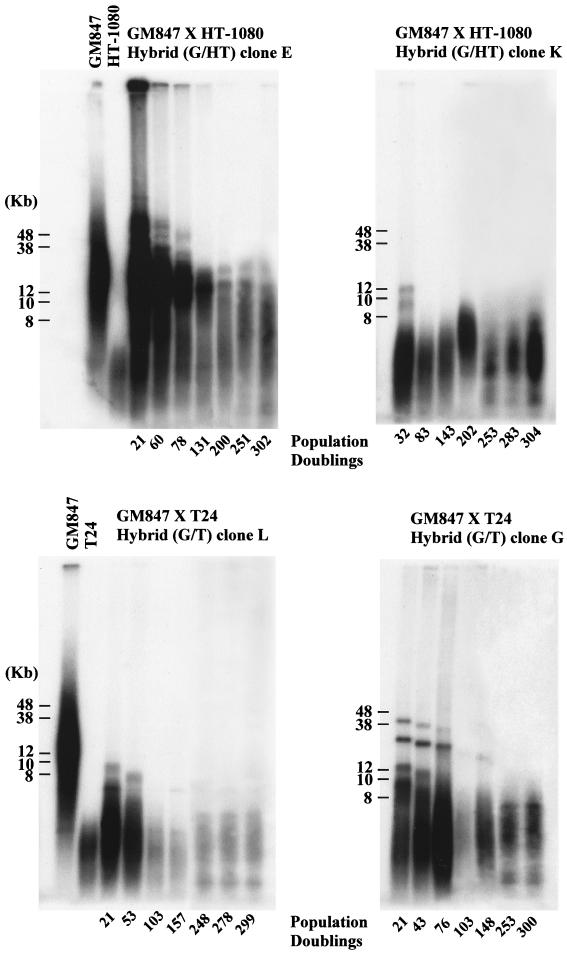 FIG. 10