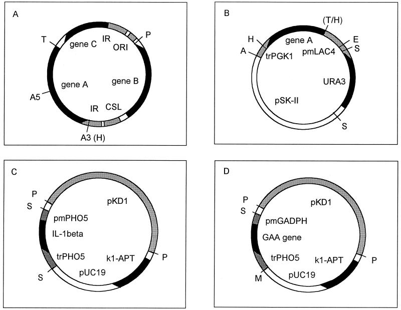 FIG. 1