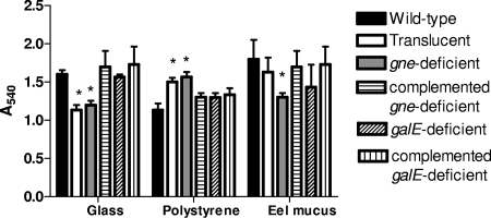 FIG. 5.