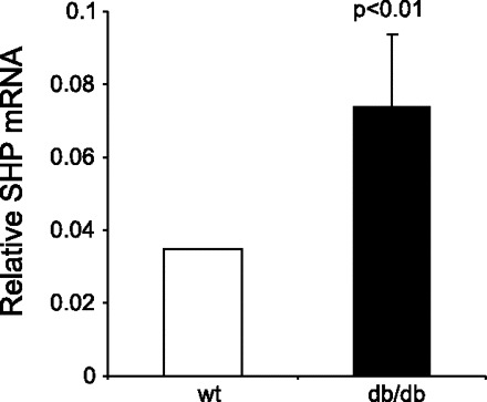 Fig. 10.