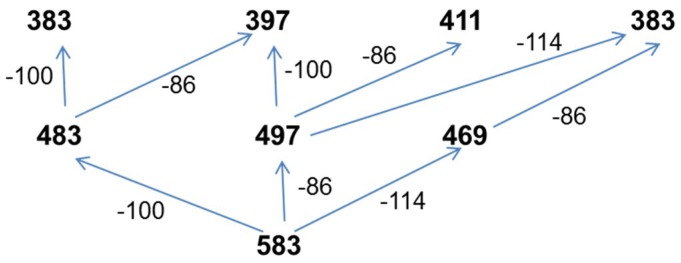 Scheme 2