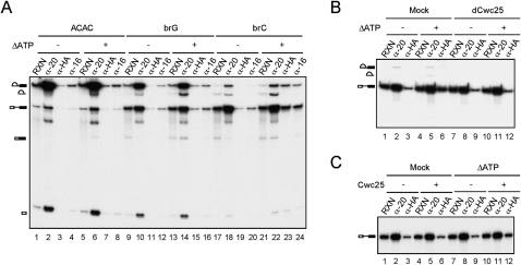 FIGURE 6.