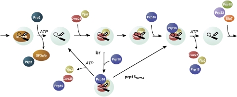 FIGURE 7.