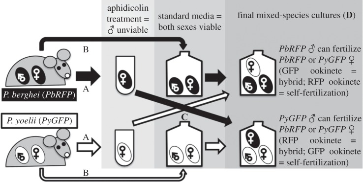 Figure 1.