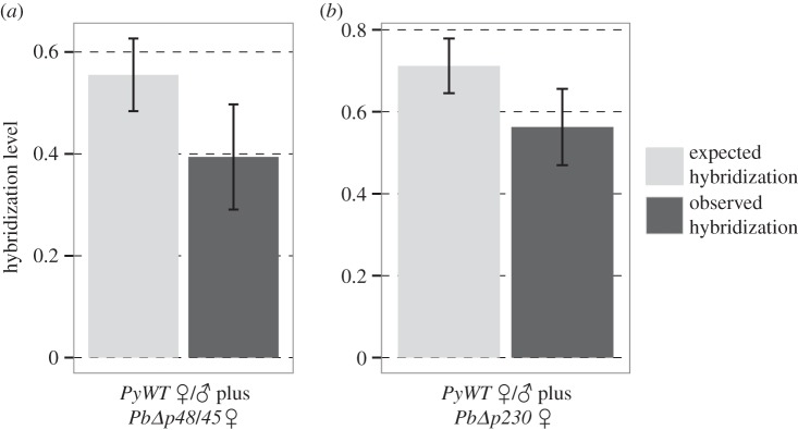 Figure 4.