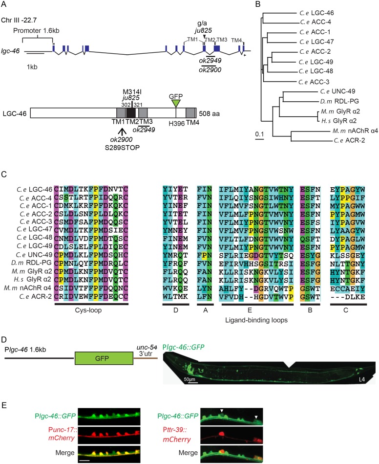 Figure 1—figure supplement 1.