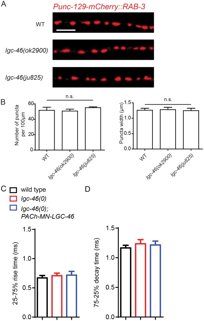 Figure 2—figure supplement 1.