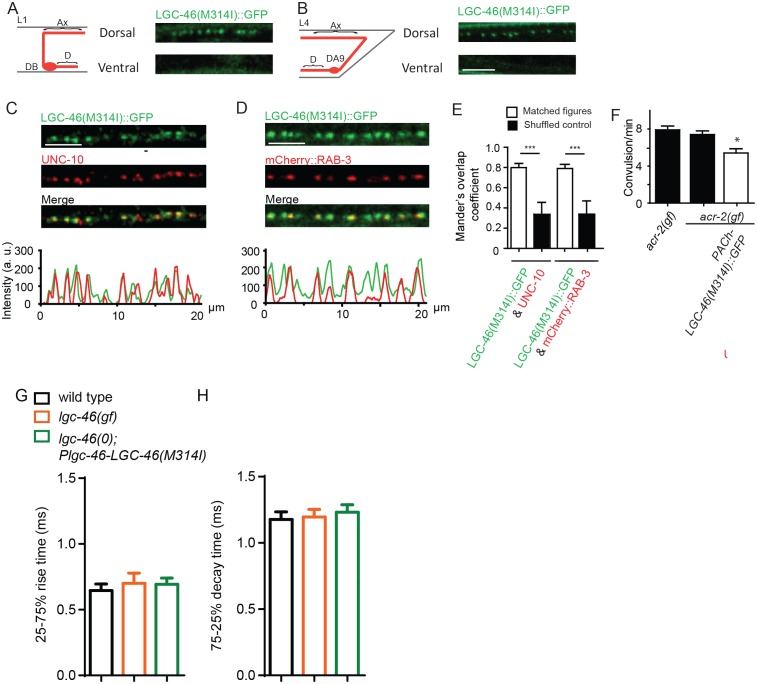 Figure 4—figure supplement 1.