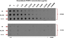 Fig. 9