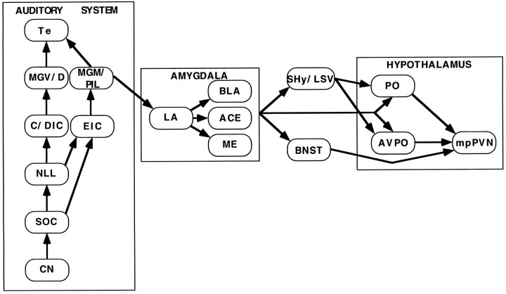 Fig. 11.