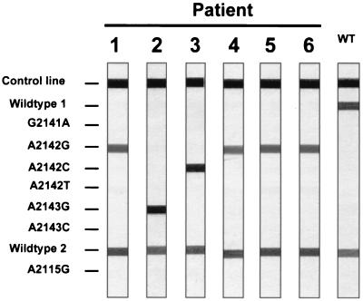 FIG. 1