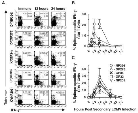 FIG. 2.