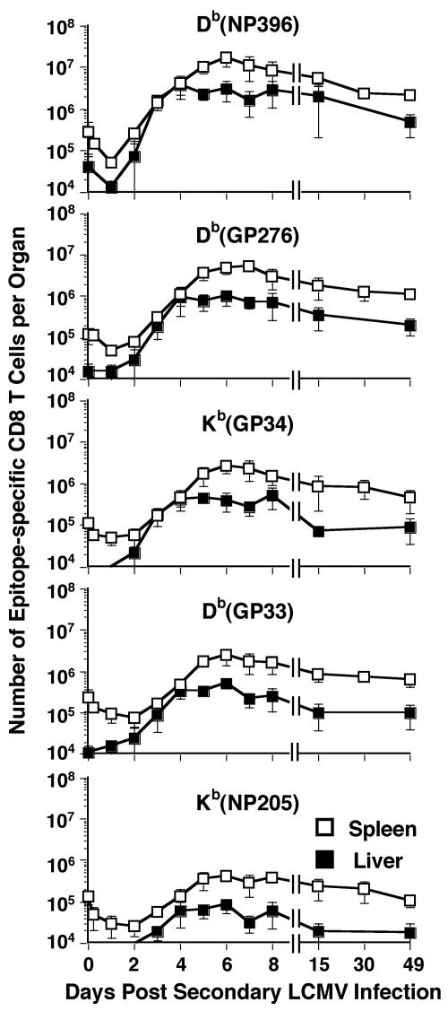 FIG. 7.