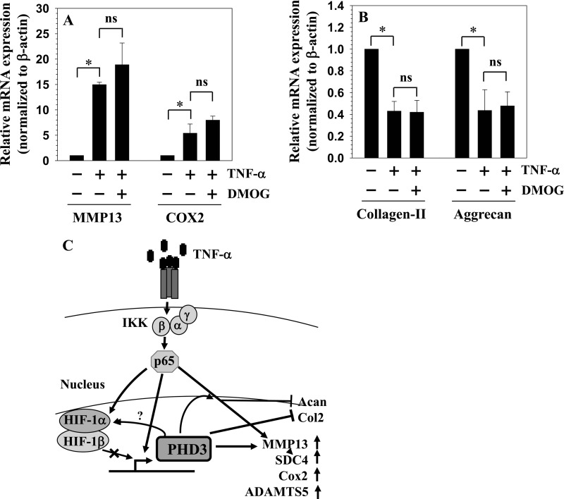 FIGURE 9.