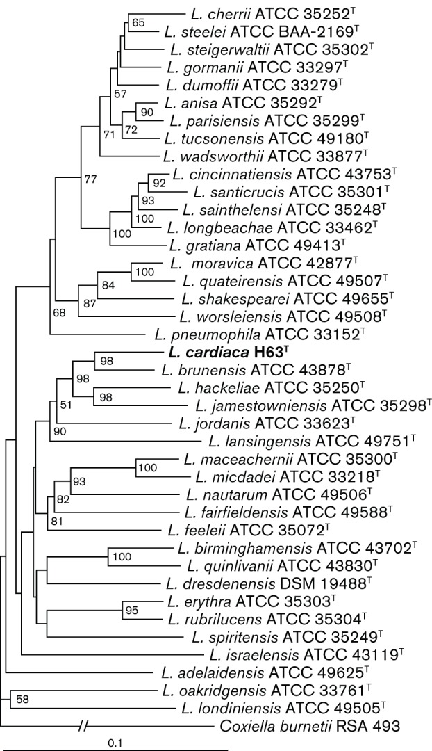 Fig. 1. 