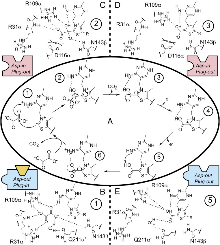 Fig. 6.