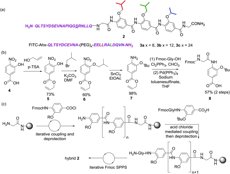 Scheme 1