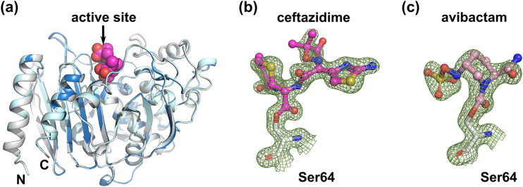 FIG 2