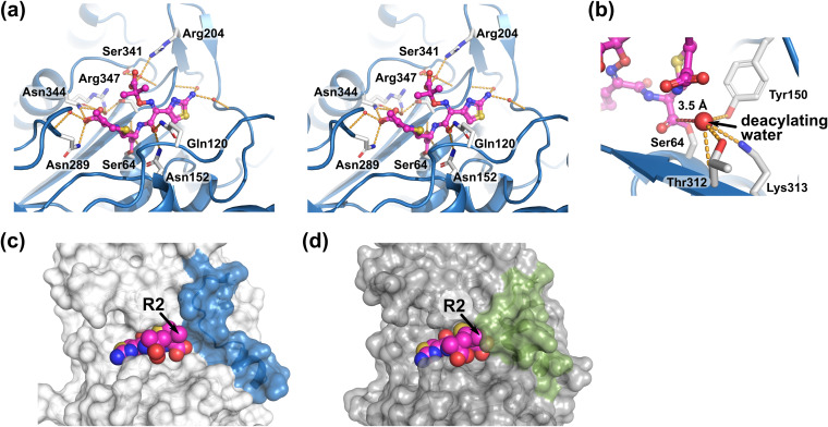 FIG 4