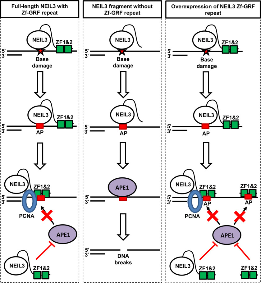 Figure 7.