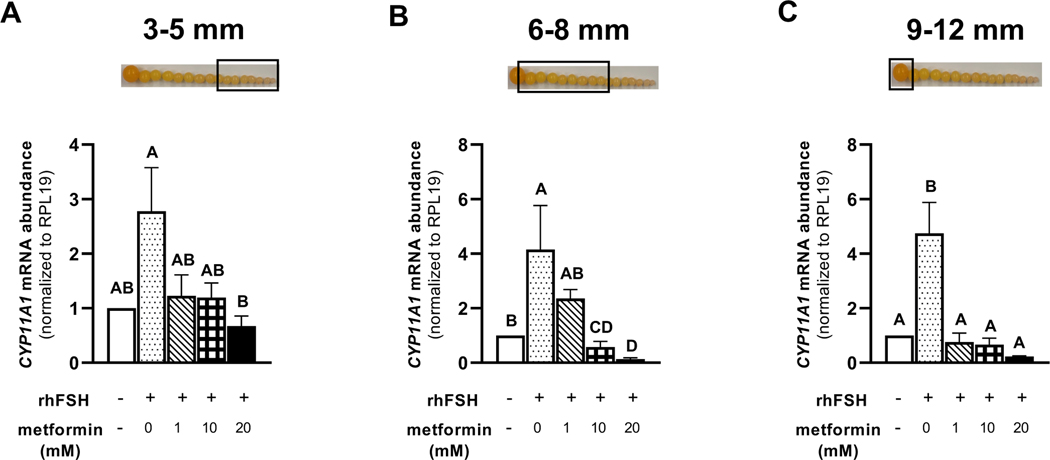 Figure 7 A-C.