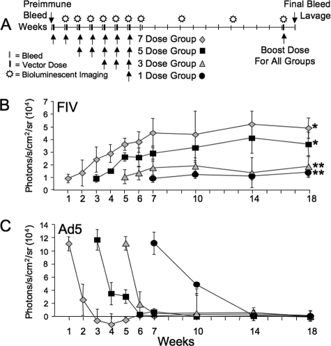 FIG. 5.