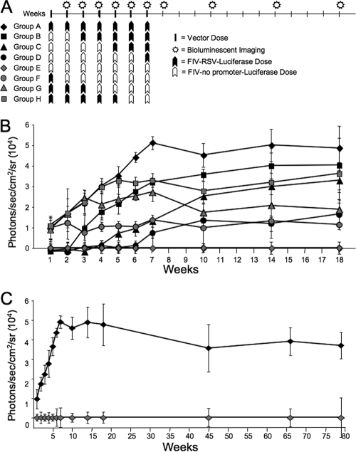 FIG. 7.