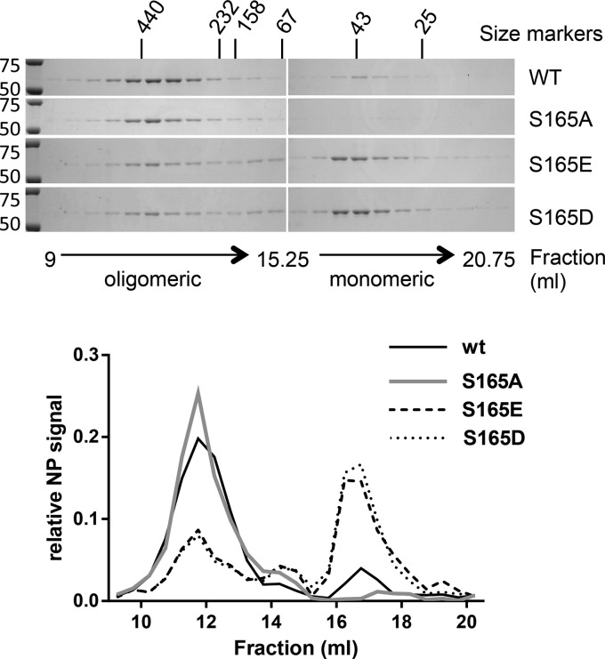 FIG 1