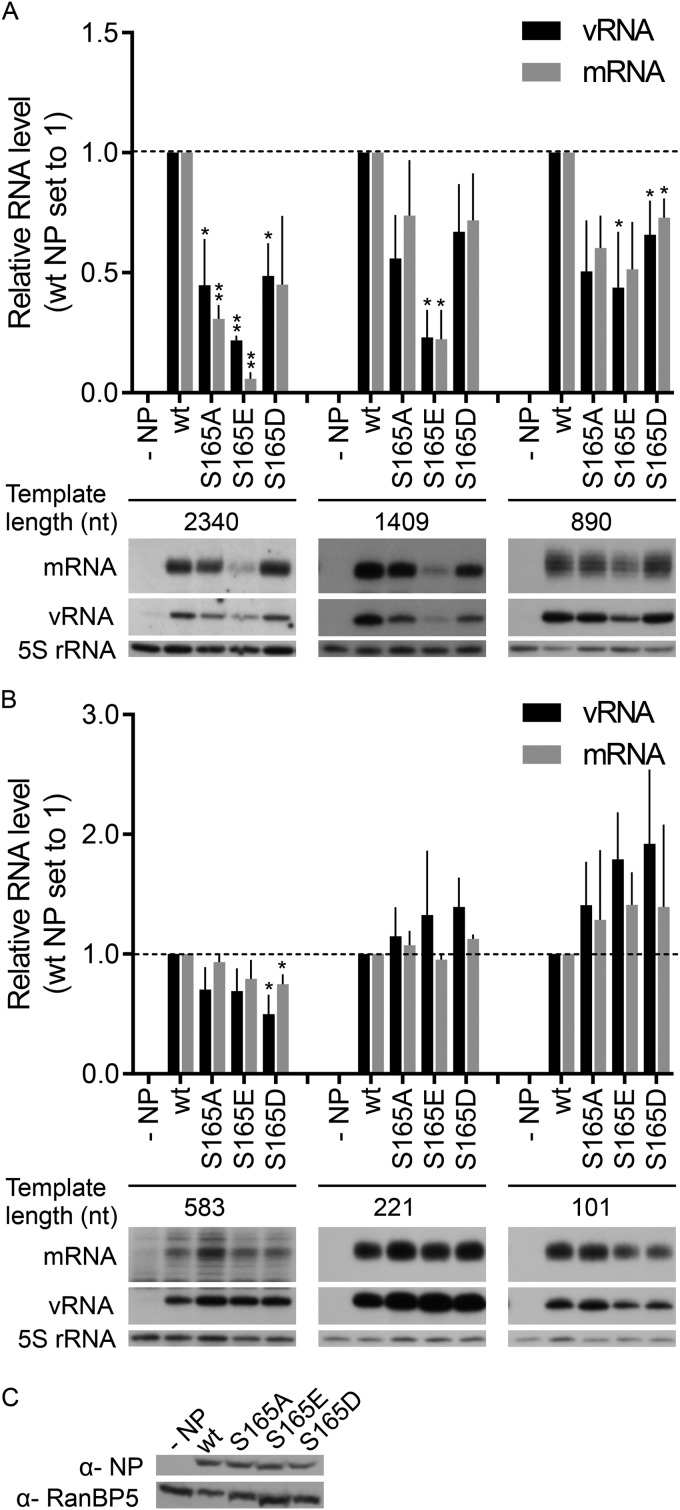 FIG 3