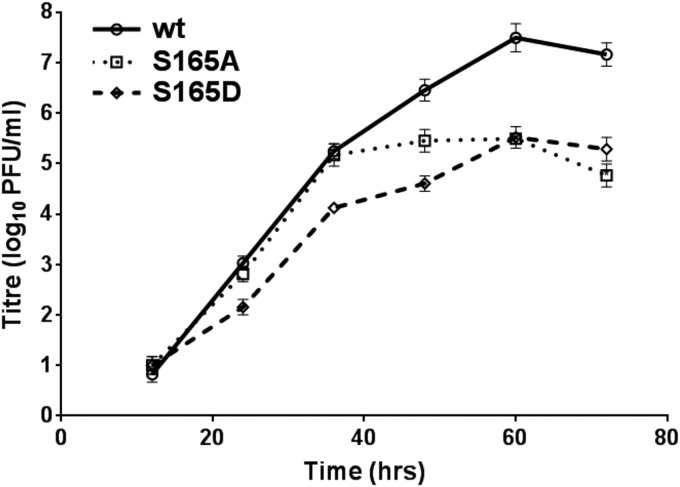 FIG 2