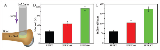 Figure 9.