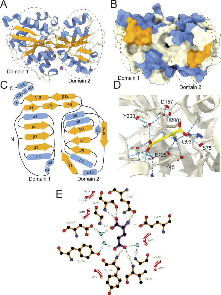 Figure 7.