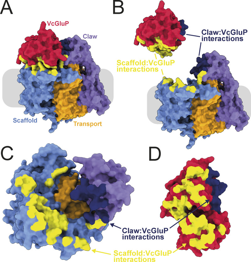 Figure 9.