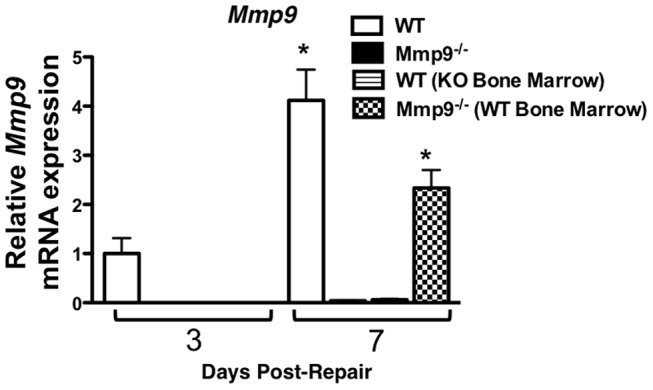 Figure 5