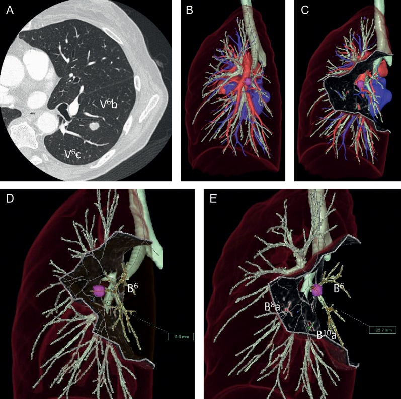 Figure 2: