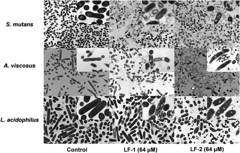 Figure 3.