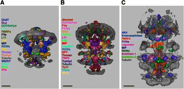 Fig. 2