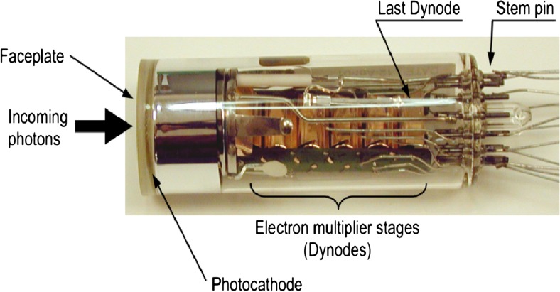 Fig. 5