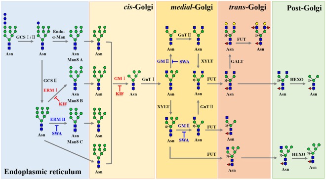 Figure 7