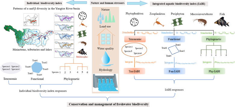 Image, graphical abstract