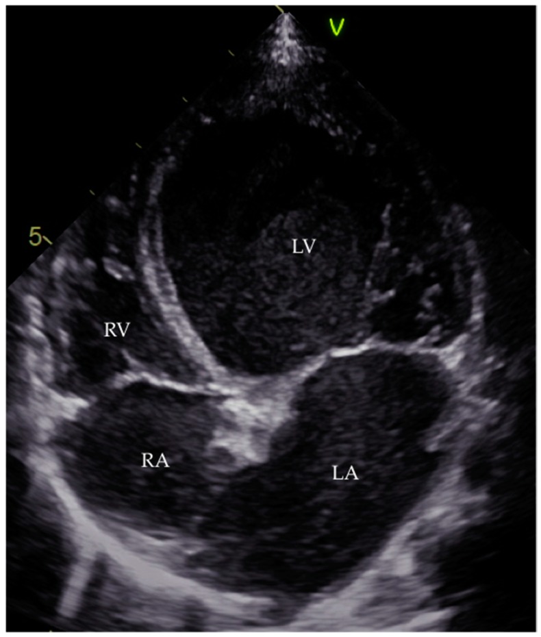 Figure 4