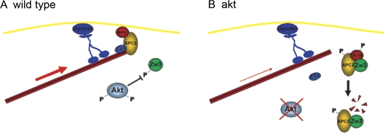 Figure 10.