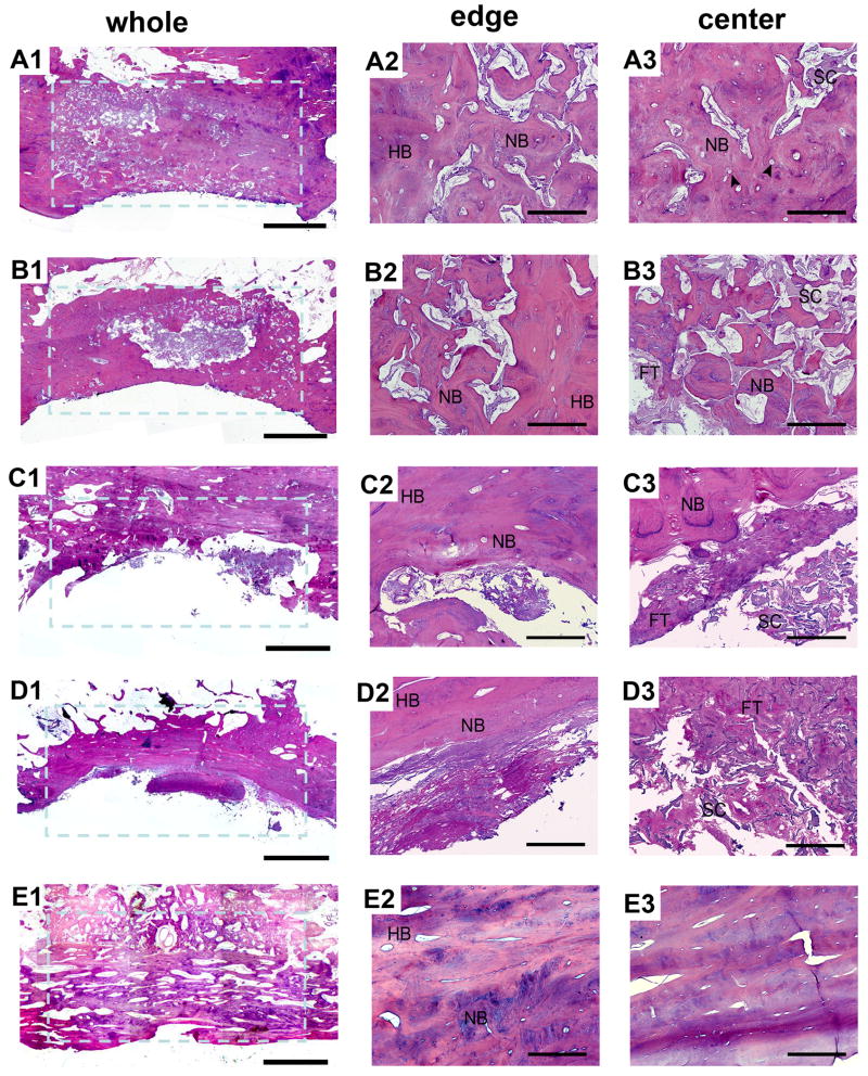 Fig. 9