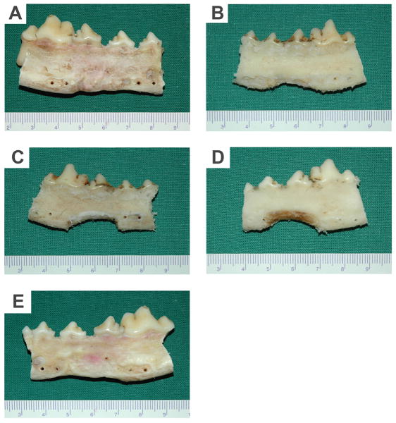 Fig. 8